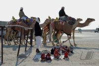 Kamelrennen Doha / Katar
