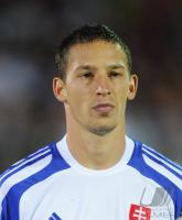 Fussball WM  2010  Qualifikation: Slowakei - Tschechien