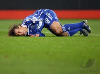 Fussball, 1. Bundesliga: Schalke - Hamburg