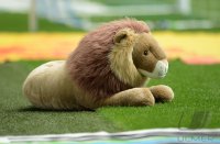 Fussball 2. Bundesliga:  TSV 1860 Muenchen - Jahn Regensburg