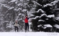 Schmuckbild, Wintersport, Skilanglauf auf dem Kniebis in Baiersbronn