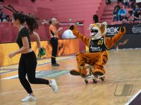 Barmer 2. Basketball Bundesliga  18/19: Tigers Tuebingen - Artland Dragons