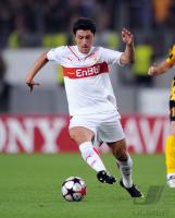 Ciprian Marica   ( VfB Stuttgart )