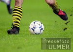 Fussball 1. Bundesliga: Allgemein