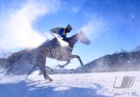 Pferdesport: White Turf  St. Moritz 2022