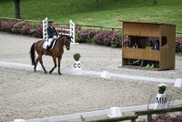 Reiten Turnier Tuebinger Reitgesellschaft