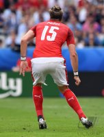 Fussball International Europameisterschaft 2016: Island - Oesterreich