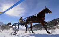 Pferdesport:  White Turf  St. Moritz 2011   Trabrennen