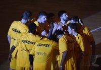 Basketball 1. Bundesliga 14/15 Hauptrunde:  Walter Tigers Tuebingen - Loewen Braunschweig