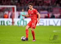 Fussball International CHL 22/23: FC Bayern Muenchen - Paris Saint-Germain