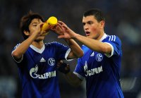Fussball 1. Bundesliga, Saison 2012/2013: FC Schalke 04 - FSV Mainz 05