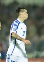 Fussball WM  2010  Qualifikation: Slowakei - Slowenien