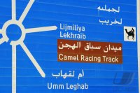 Kamelrennen Doha / Katar