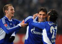FUSSBALL, 1. BUNDESLIGA, 20. Spieltag: Schalke - Hoffenheim