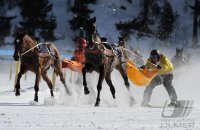 Pferdesport:  White Turf  St. Moritz 2011   Skijoering