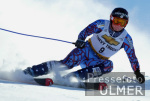 SKI   Weltcup  Abfahrt Herren ;  Daron Rahlves (USA)
