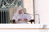 Rom Generalaudienz Papst Franziskus I.