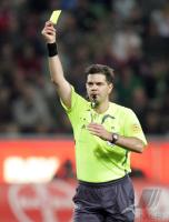 Fussball, International: Schiedsrichter Terje HAUGE