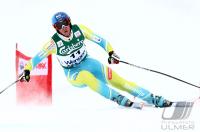 Ski Alpin  Herren Abfahrt Wengen