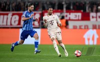 Fussball International CHL 24/25: FC Bayern Muenchen - Slovan Bratislava