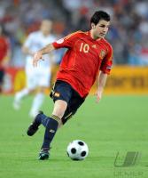 Fussball Euro 2008: Spanien, Fabregas
