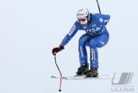 Ski Alpin  Herren Abfahrt Beaver Creek