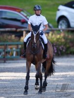 Reiten Tuebinger Landeschampionat 2016