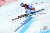 Ski Alpin  Herren  Abfahrt  Kitzbuehel 2013; Didier Defago (SUI)