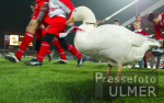 Fussball 2. Bundesliga: Oberhausen - Karlsruhe, Maskottchen Luzy
