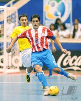 Fussball International FIFA FUTSAL WM 2008
