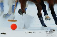 Polo  St Moritz 2010