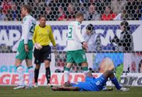 FUSSBALL 1. Bundesliga   TSG 1899 Hoffenheim -  SV Werder Bremen