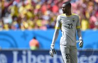 FUSSBALL WM 2014, Gruppenphase: Schweiz - Ecuador