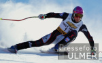 SKI   Weltcup  Abfahrt Herren ; Hans Knauss (AUT)