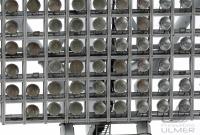 Fussball International  U 17 Weltmeisterschaft