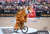 Basketball 2. Bundesliga 24/25 Walter Tigers Tuebingen - VET-CONCEPT Gladiators Trier