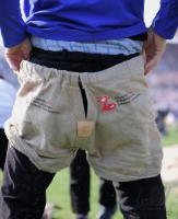 Schwingfest Frauenfeld 2010