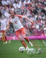 Fussball 1. Bundesliga 23/24: FC Bayern Muenchen - 1.FC Koeln