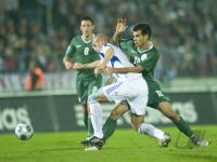 Fussball WM  2010  Qualifikation: Slowakei - Slowenien