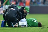 Fussball, 1. Bundesliga  Saison 2013/2014: SV Werder Bremen - 1899 Hoffenhein