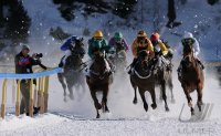 Pferdesport:  White Turf  St. Moritz 2011   Flachrennen