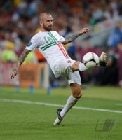 Fussball International Europameisterschaft 2012, Halbfinale: Portugal - Spanien