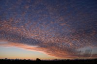 FUSSBALL 63. FIFA  Kongress auf Mauritius 2013: Sonnenaufgang auf Mauritius