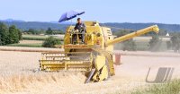Neustetten (Kreis Tuebingen) Schmuckbild: Getreideernte 2022, Maehdrescher