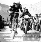 RADSPORT  Geschichte der Tour de France