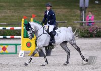 Reiten Tuebinger Landeschampionat 2017
