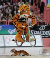 1. Basketball Bundesliga  01/11  Walter Tigers Tuebingen  - Alba Berlin