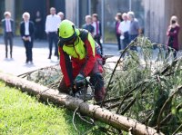 Hochschule Forstwirtschaft Rottenburg Waldwirtschaft 4.0: Digitalisierung im Prozesse der Holzernte
