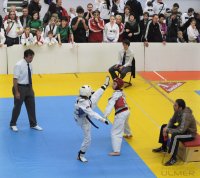 TEAKWONDO Neckar Cup Rottenburg 2010