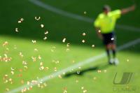 Fussball WM 2006: Serbien-Montenegro - Holland